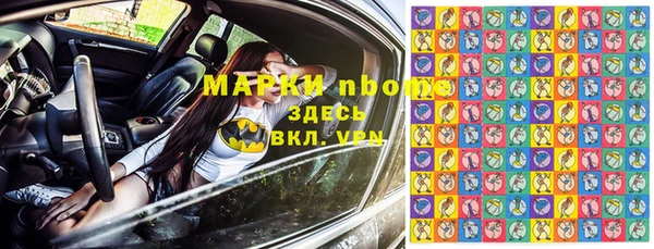 хмурый Алзамай