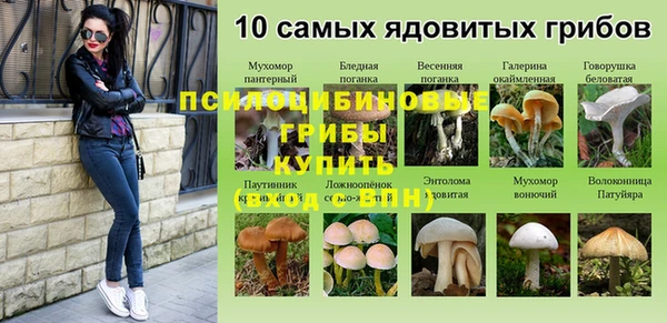 хмурый Алзамай