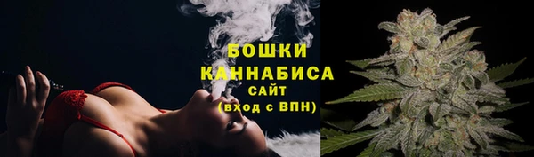 СК Новозыбков