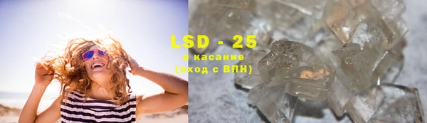 стаф Алексин