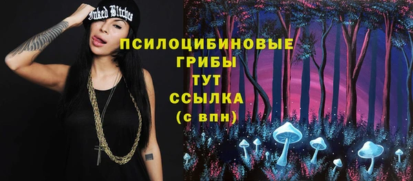 хмурый Алзамай