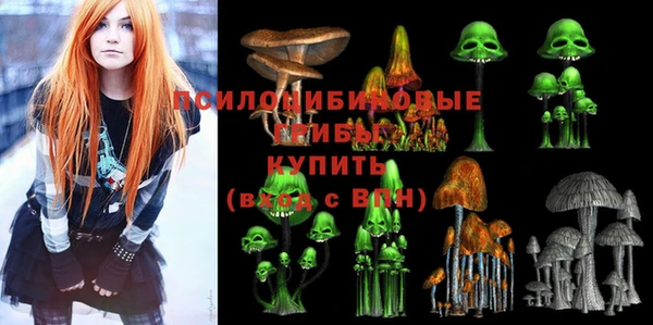 стаф Алексин