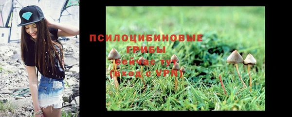 хмурый Алзамай