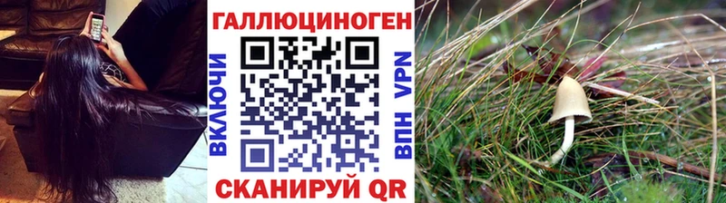 купить сайты Юрьев-Польский Галлюциногенные грибы MAGIC MUSHROOMS